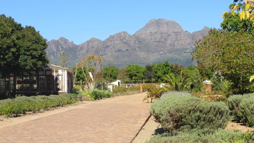 De Oude Schuur Stellenbosch Quarto foto