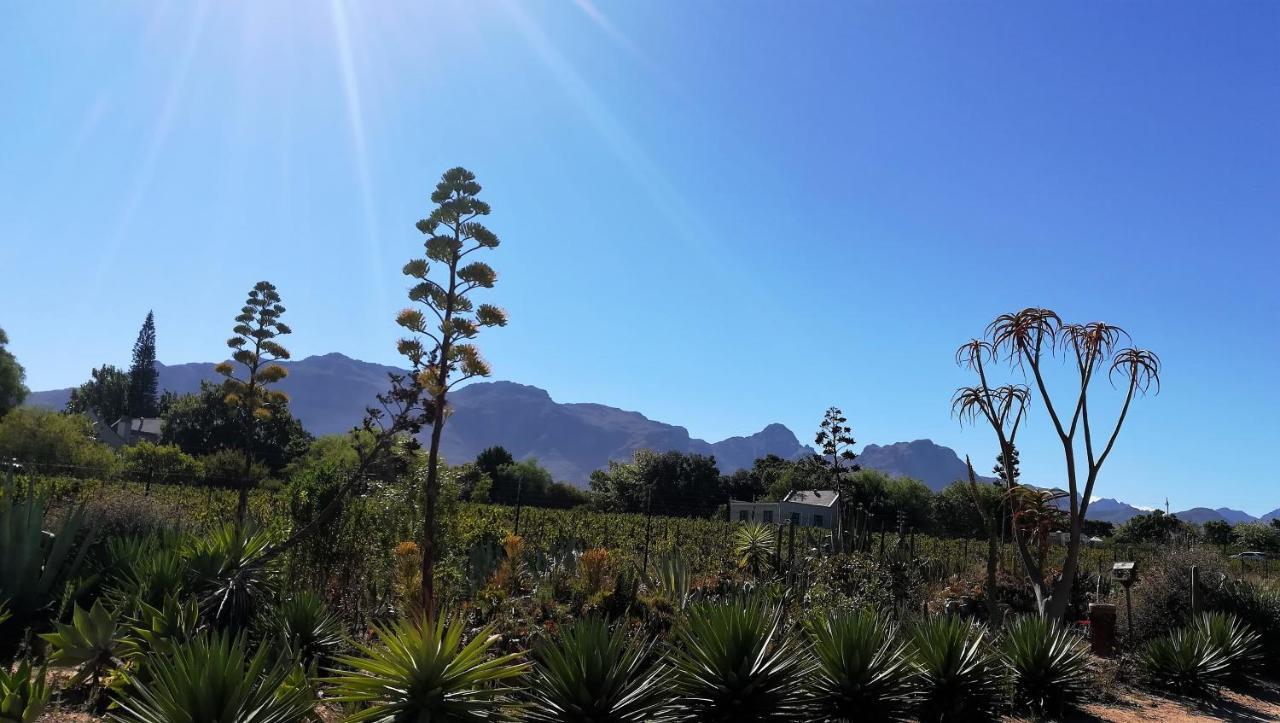 De Oude Schuur Stellenbosch Exterior foto